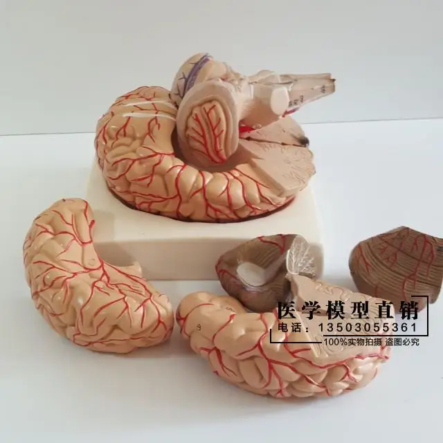 //img.alicdn.com/imgextra/i4/2674272596/TB2IE8MipXXXXcvXXXXXXXXXXXX_!!2674272596.jpg