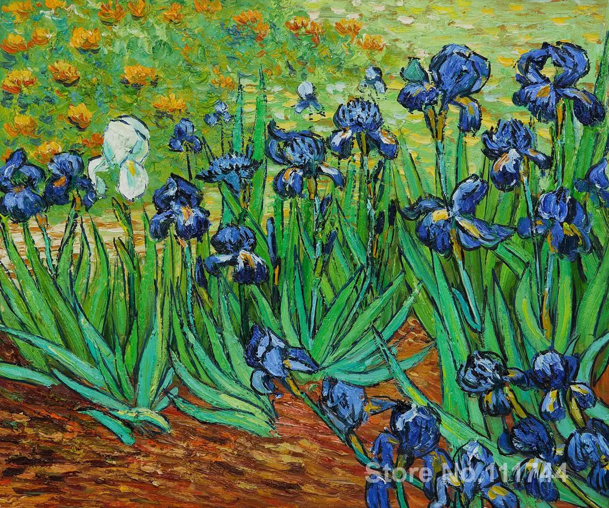 Irises by Vincent Van Gogh Oil Painting Print on Museum Quality Canvas