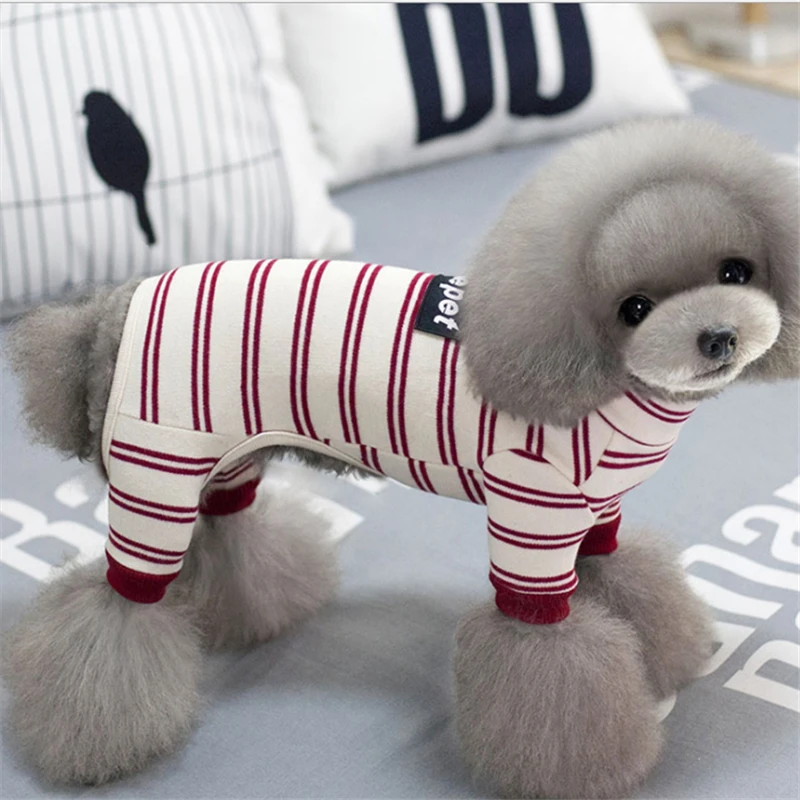 dog clothes winter (10)
