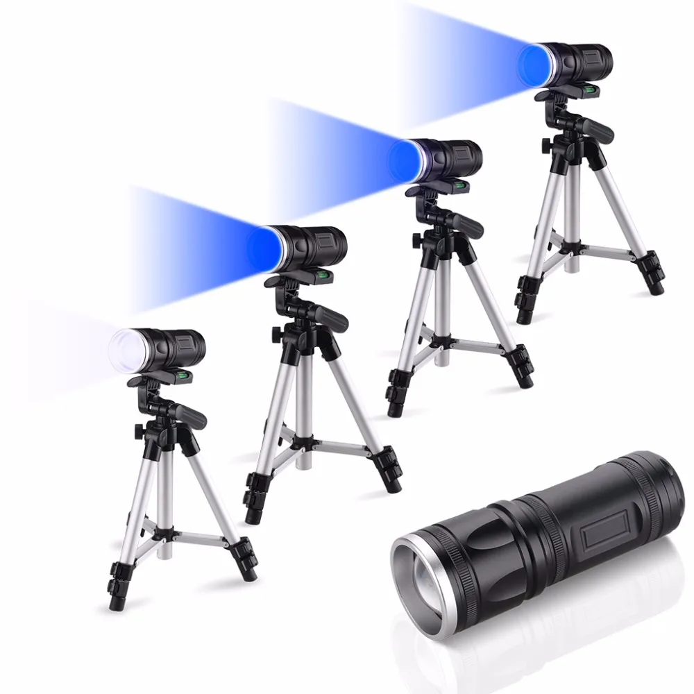 1462147091085-P-129801