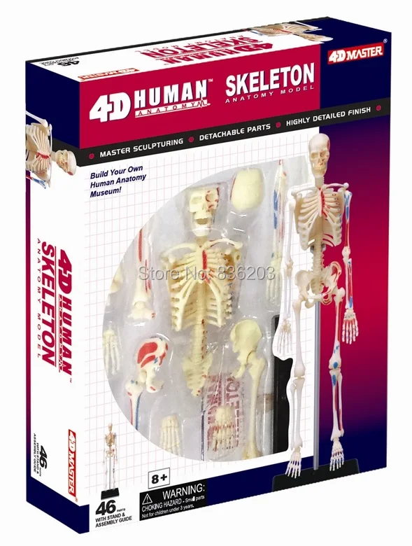 26059