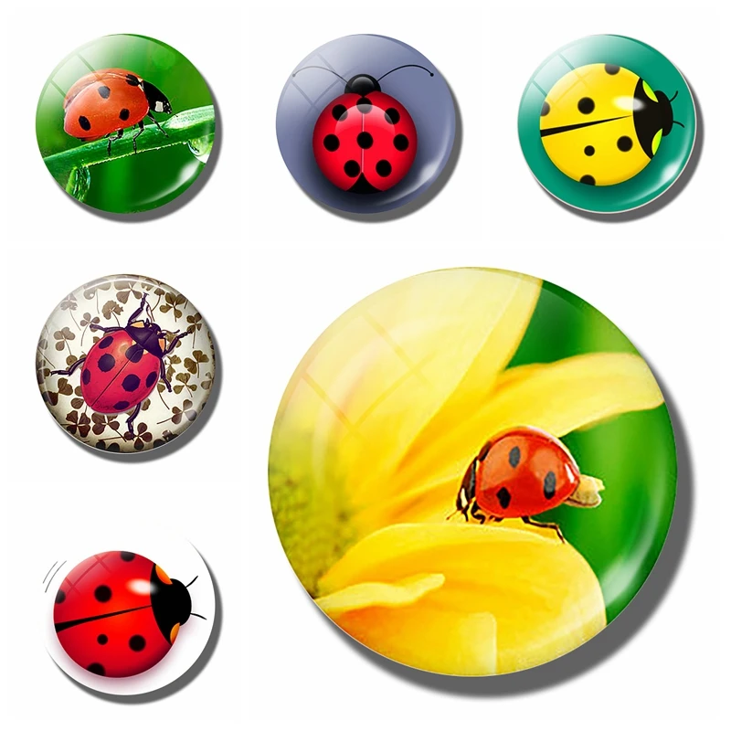 

Ladybug fridge magnet Ladybug Glass cabochon Cartoon refrigerator magnets fridge sticker Cute insect message board Home Decor