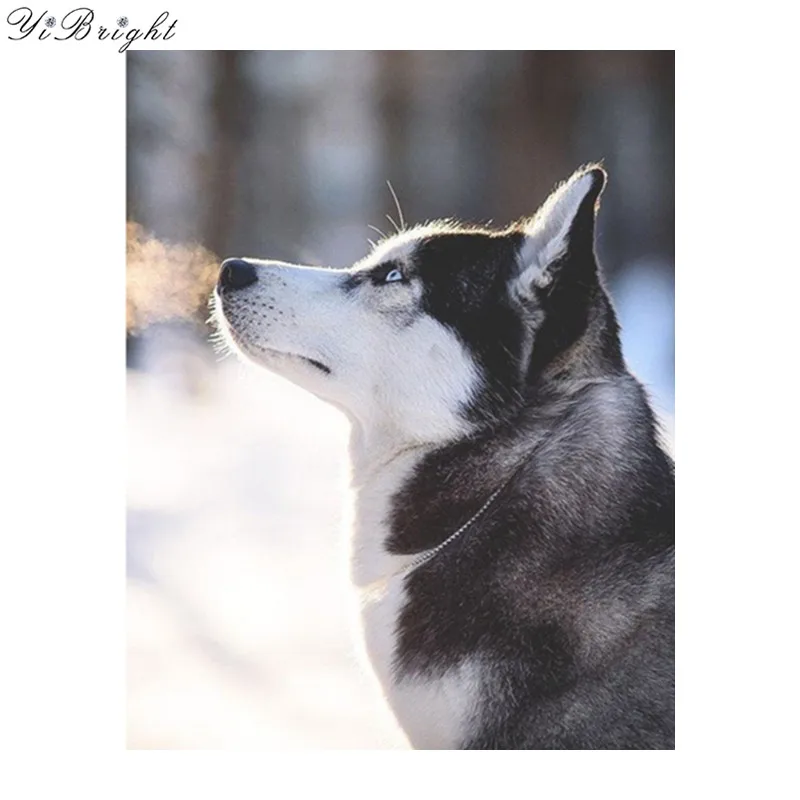 

5D Full Drilled square Cross Stitch Siberian husky Diy Diamond Painting Kits Dog Decorative Resinstone Square Set Unfinished