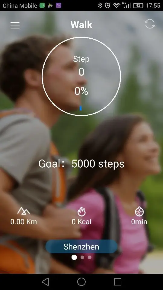 Pedometer