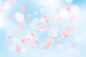 

LIFE MAGIC BOX Photo Background Birthday Valentine's Day Chroma Key Shimmer and Shine for Girls Wood Flower Backdrops