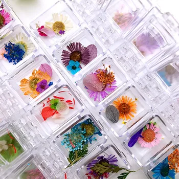 

Mixed styles 12 colors fresh nails natural dried flowers UV Gel Nail Art Polish Tips Jewelry Decoration DIY Manicure Tools