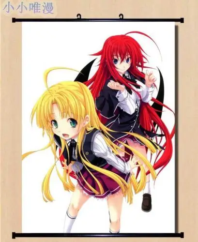 

Anime High School DxD Rias Gremory Home Decor Poster Wall Scroll 23.6"x32" HS38