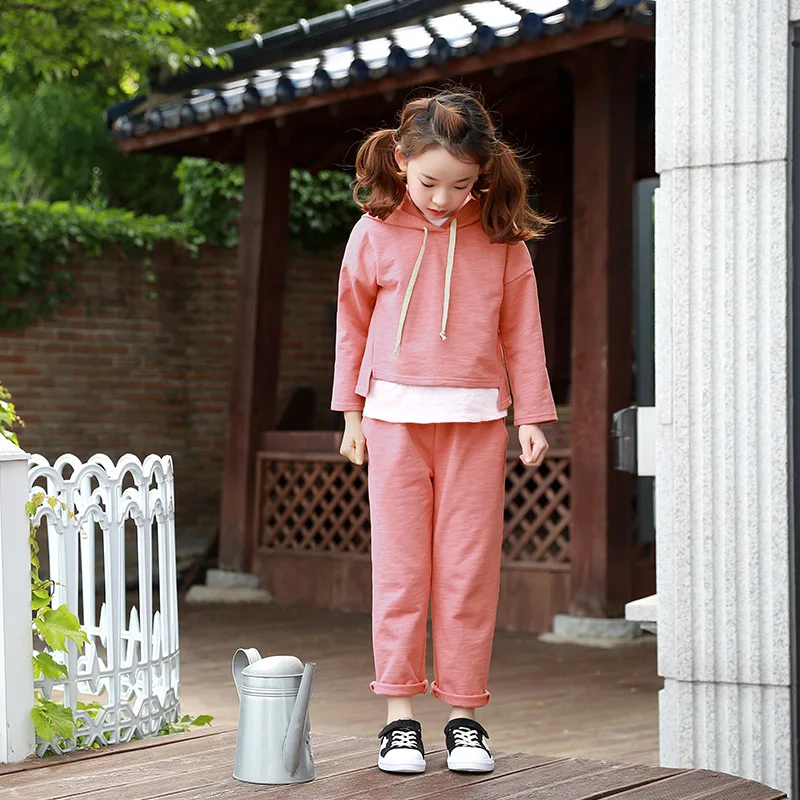 baby teenage girls clothing sets girl sport suits children clothing sets 2017 Brand New hooded kids clothes set hoody and pants  4 5 6 7 8 9 10 11 12 13 14  years old little big teenage girls tracksuits sets sports clothes  (14)
