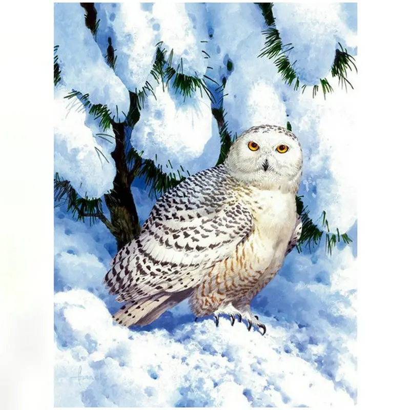 5d diy diamond painting full square owl snow picture mosaic sticker 3d embroidery home decor gift 50x60cm | Дом и сад