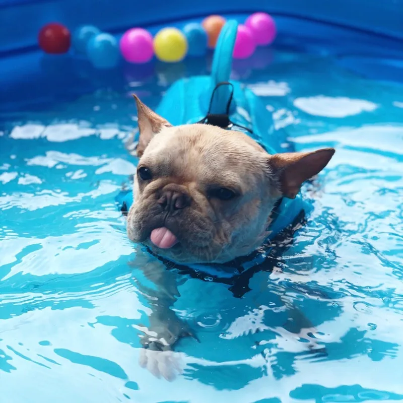 Shark Dog Life Jacket Safety Swimwear Dog Clothes Pet Life Vest Summer Dog Swimming Clothing French Bulldog Pug Jacket  10