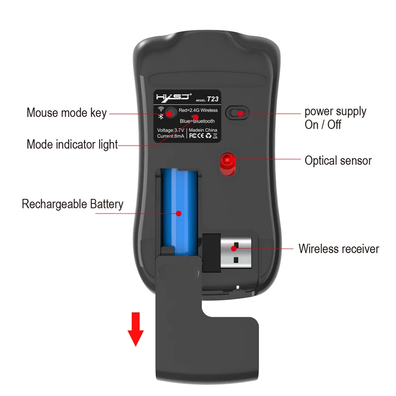 10 Due model mouse