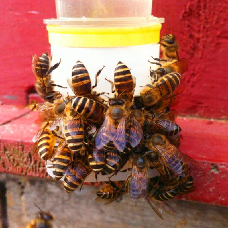 Bees Drinking Fountains Nest Door Feeders Beehive Box Septum Beekeeping 20 Pcs