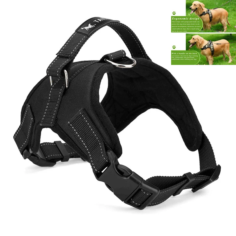 heavy duty collars large harness padded chest heavy duty collars large harness padded chest