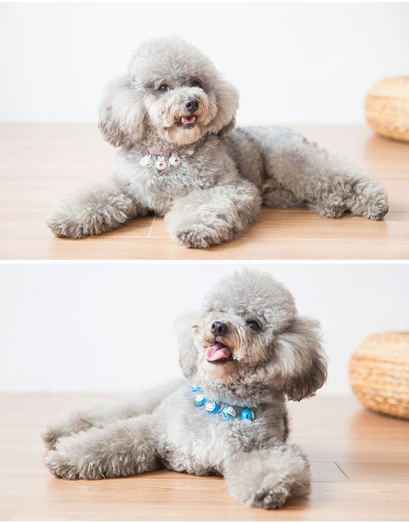 dog chain collar (12)