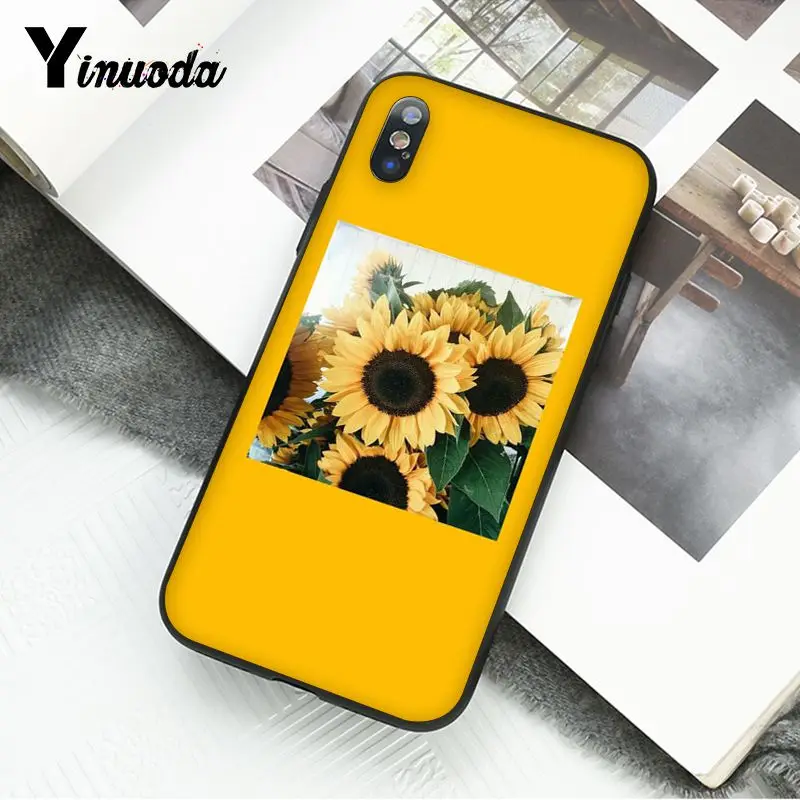 Yellow Sunflower