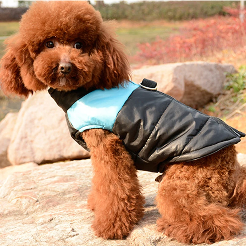 Winter Warm Pet Dog Vest Clothes Goods Waterproof Zip-up Coat Jacket For Small Dogs Puppy Cat Raincoat Apparel DOGGYZSTYLE