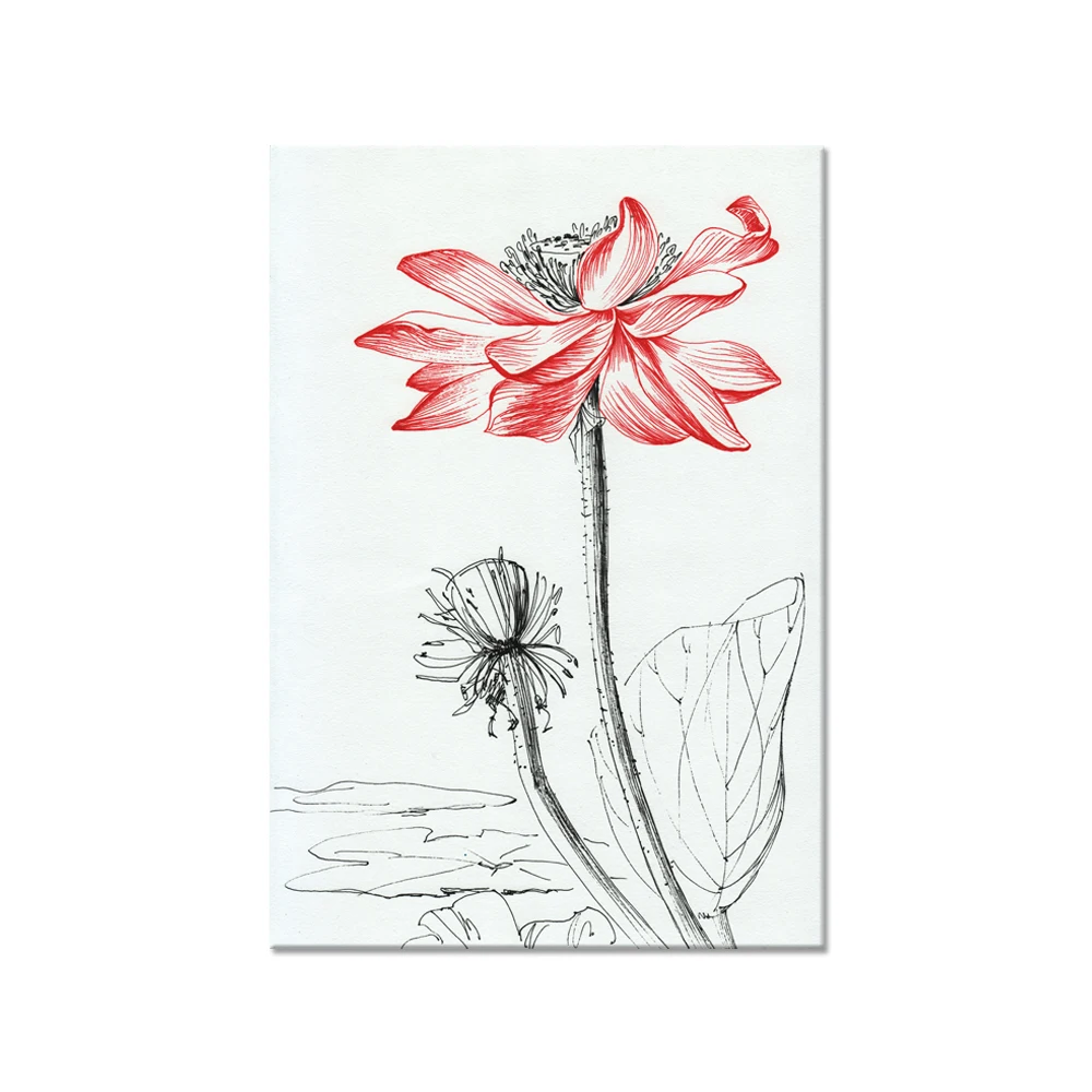 Sketsa Lotus Flower Canvas Lukisan Tradisional Cina Kualitas