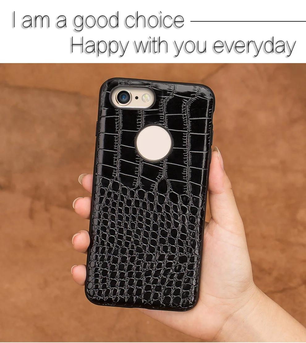 -6splus_13