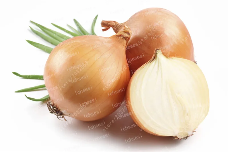 

100pcs Red Onion,Giant Onion Bonsai,Planting Onion Organic,Organic Heirloom Vegetable Edible Food Balcony Potted Garden Plants