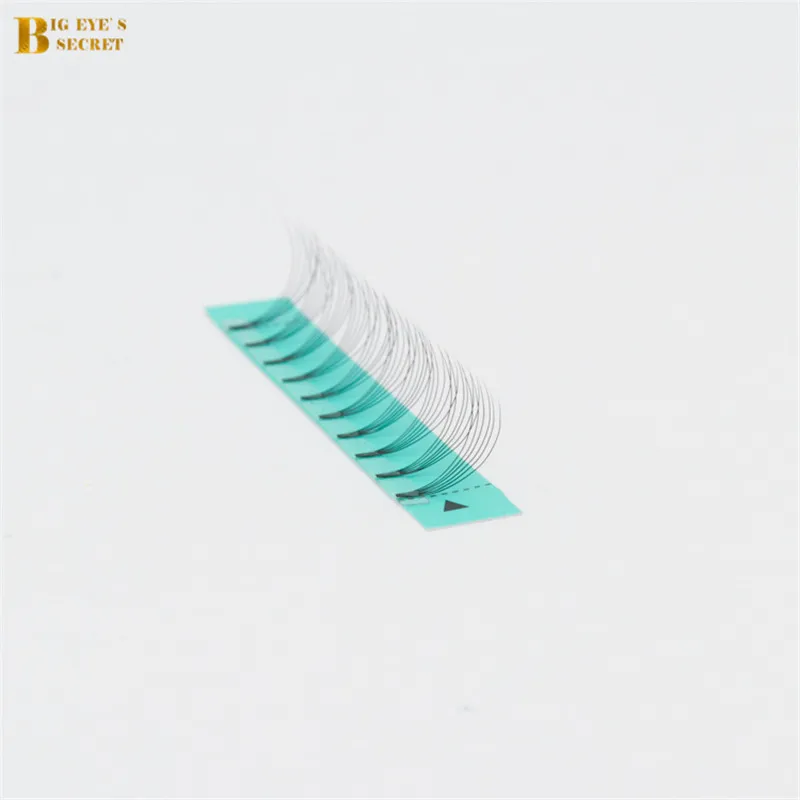 

BES Hot Sale Russian Volume Eyelashes Extension 1 Tray 6D Customized Label Volume Lashes Extension Premade Fans Free Shipping
