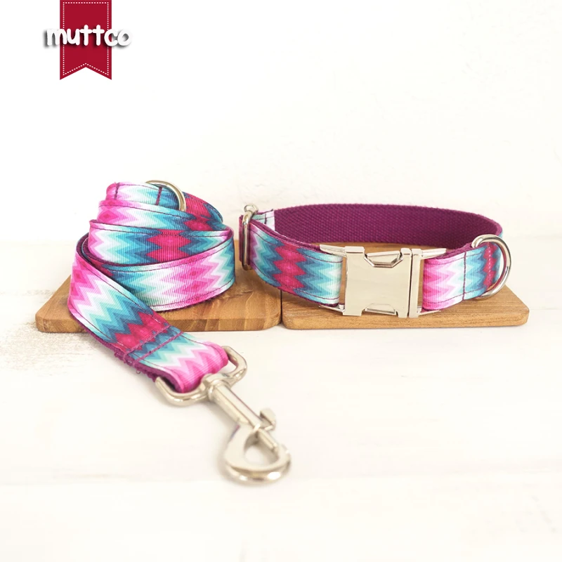 special dog collars