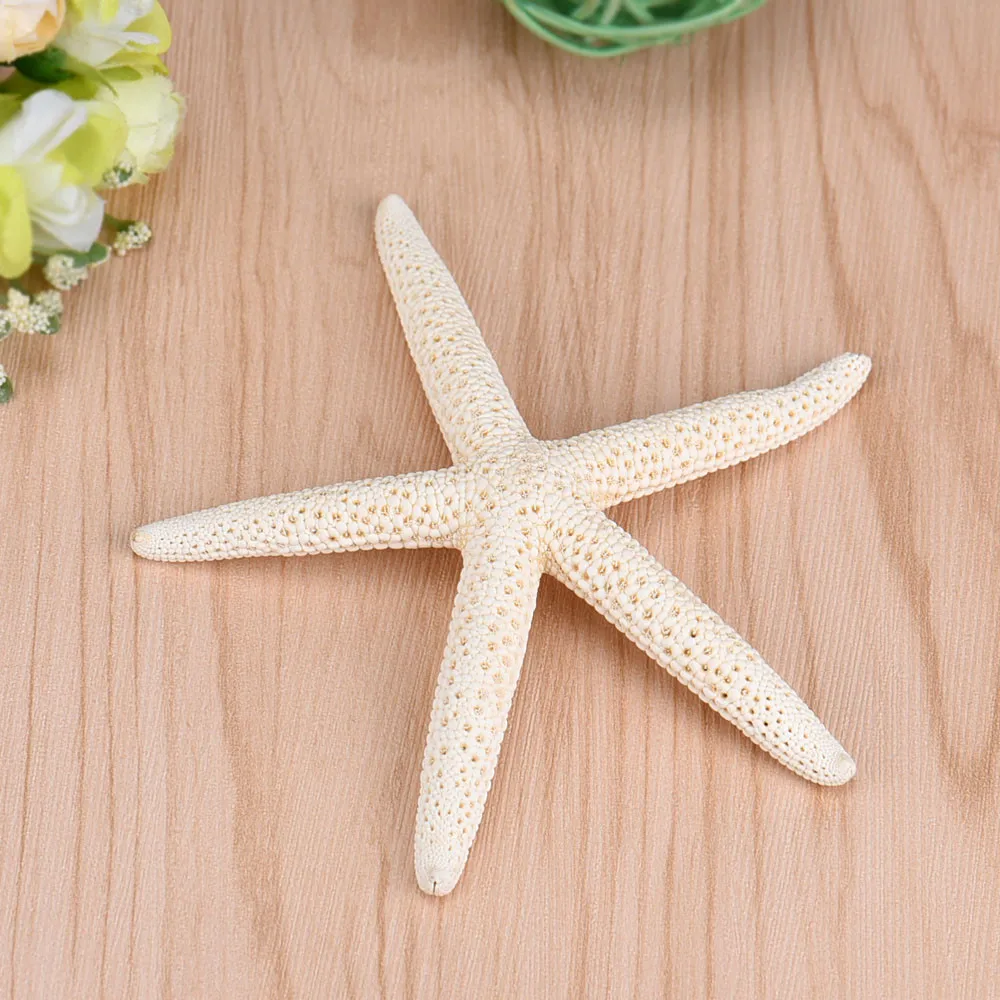 

1 Piece 10-12cm Beautiful White Natural Finger Sea Star Wedding Kids Room Wall Decor