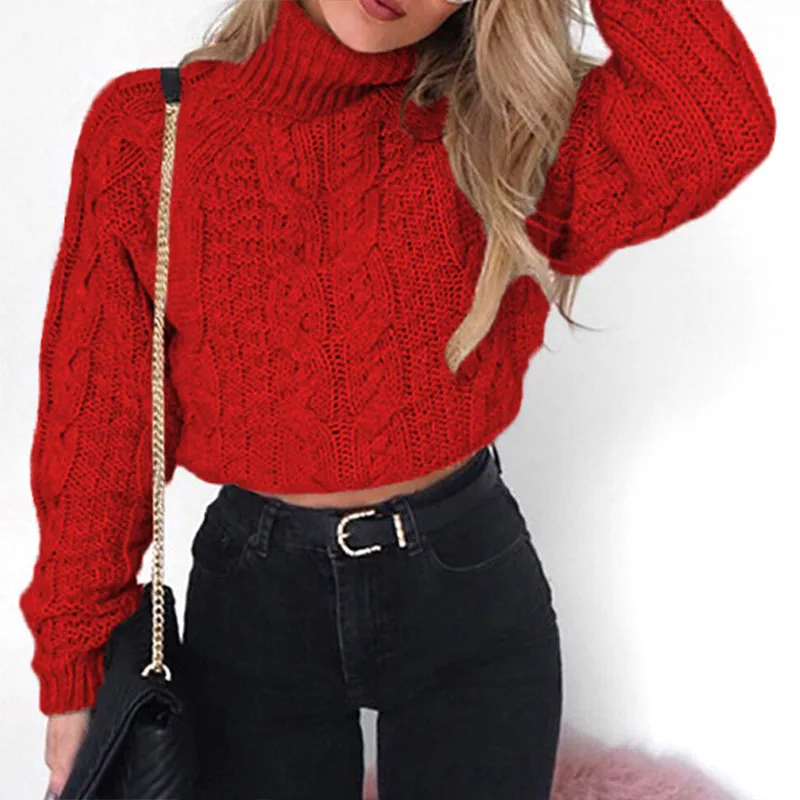 

Ccibuy Sweater Women Retro Twisted Turtleneck Sweater for Female Women Winter Thick Long Sleeve Short Pullovers Slim Jumpers