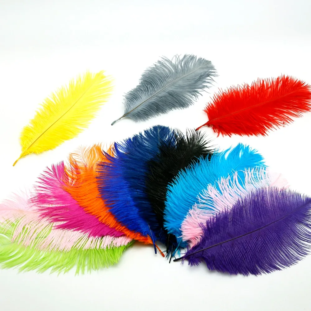 15 20 cm (6 8 ") Đà Điểu Feather 10 cái/lốc 13 mix colors DIY Đồ Trang Sức Thủ Công làm & Wedding Party Quần Áo Trang Trí|ostrich feather|feather feathercraft ostrich feathers - AliExpress