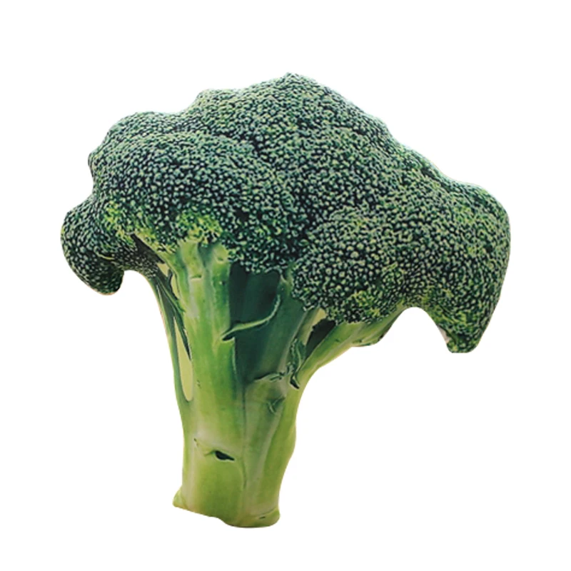 50cm Creative Simulation Vegetable Pillow Cushion Plush toys Nap Pillow Broccoli for Kid's Christmas gifts 1pc