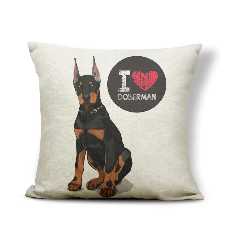 HTB1VCWRDVOWBuNjy0Fiq6xFxVXaG