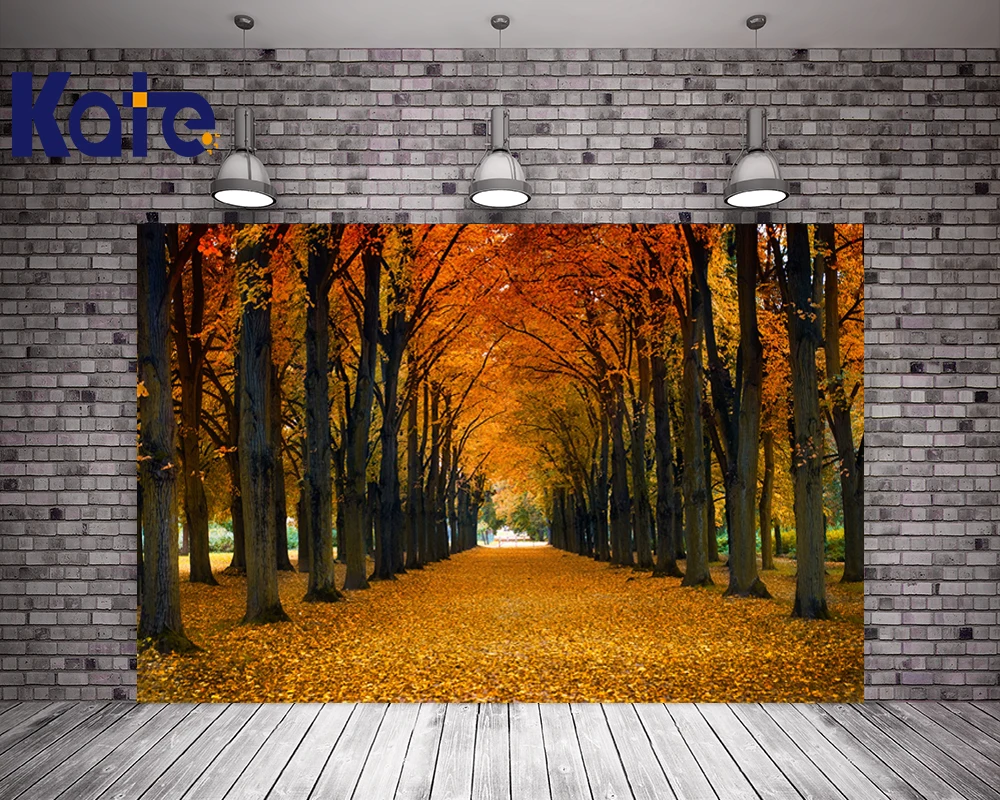 Kate Autumn Fallen Leaves Photography Backdrops Street