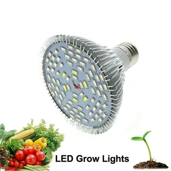 

Full Spectrum Led Grow Light 10W 30W 50W 80W Red Blue UV IR Led Growing Lamp For Hydroponics Flowers Plants Vegetables