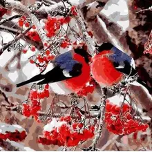 5933 влюбленных птиц-краски комплекты номеров для взрослых DIY