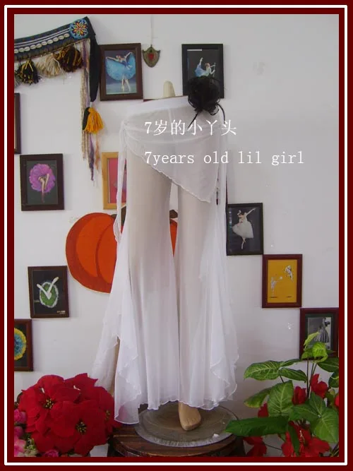 

Belly dance pants Belly dance pants Transparent thin side vent Lotus leaf edges flare Pants with skirt GC19-20