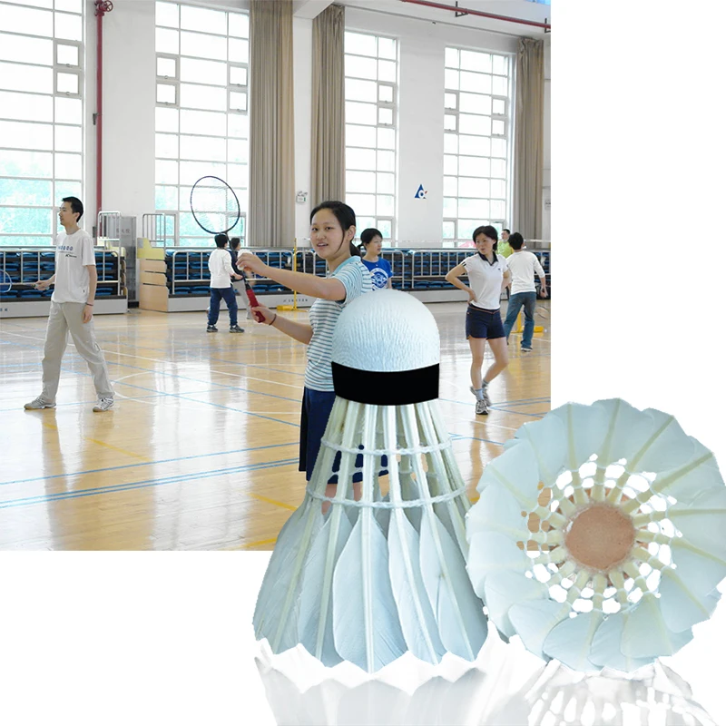 12 unids/lote bádminton ganso bola bádminton Shuttlecock deportes al aire libre gimnasio Accesorios