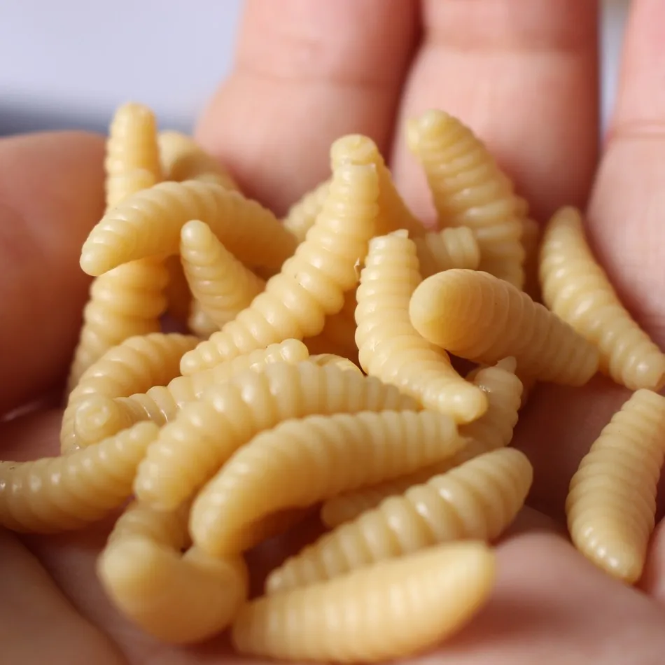Maggot Grub Baits-Smell Worms Shrimps Fishing-Bait Soft-Lure Glow Selling 20pcs/Lot 2cm