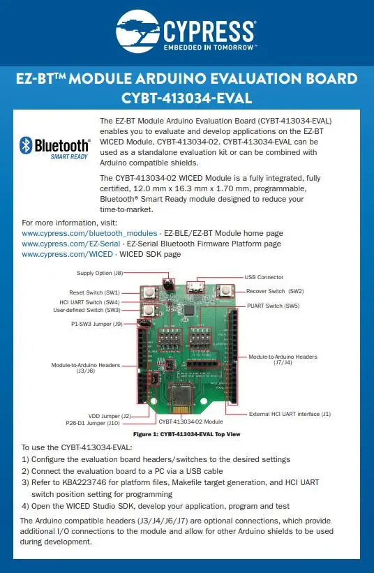 CYBT-483039-EVAL INFO 2