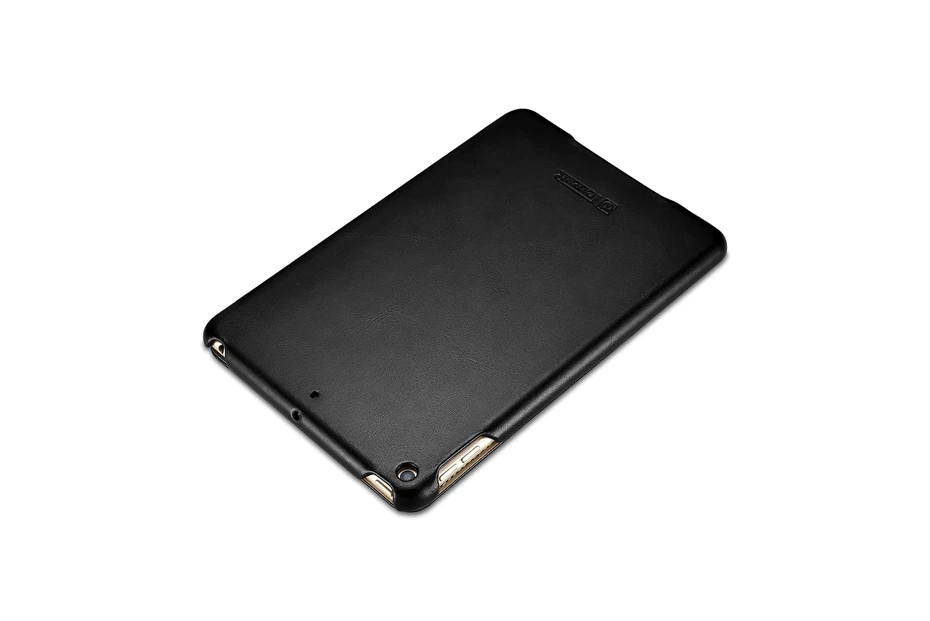 iPad mini 5  Vintage Series(2019)-016