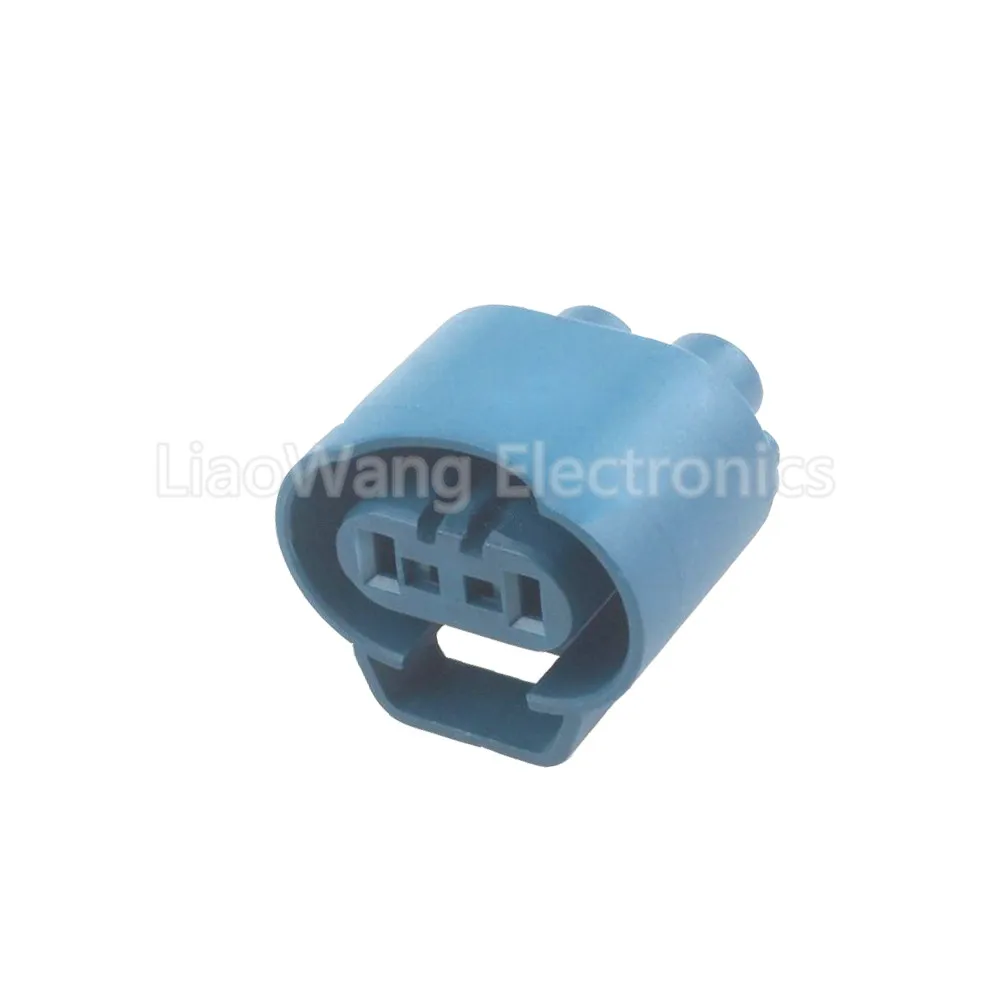 

2 Pin Automotive connector wiring harness connector plug with Terminal DJ7028WA-2.8-21 2P