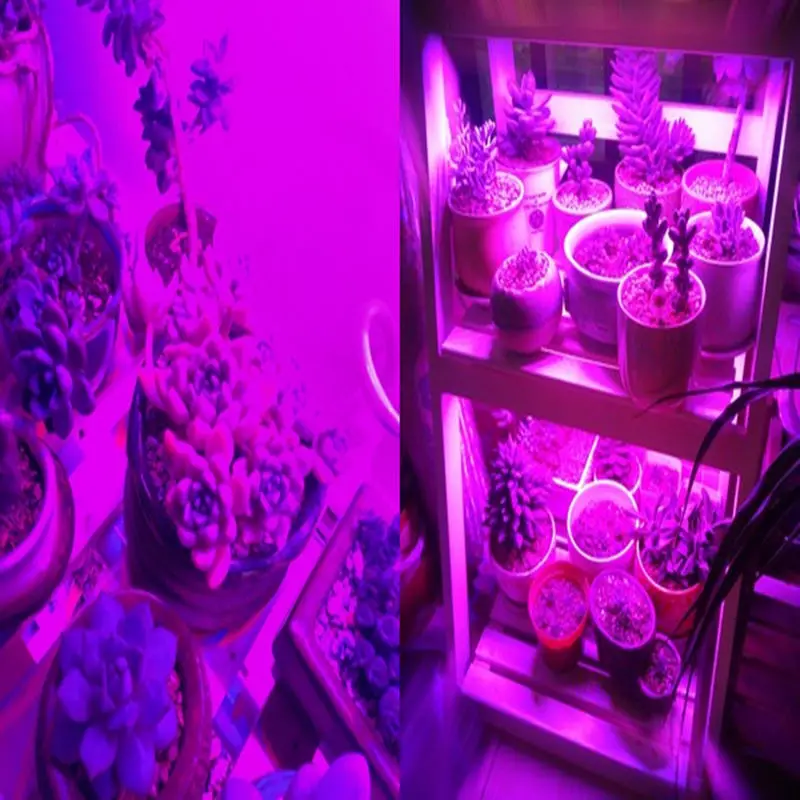 LED-E27-Full-Spectrum-Led-Grow-Light-220V-Red-Blue-UV-IR-Led-Growing-Lamp-For (2)