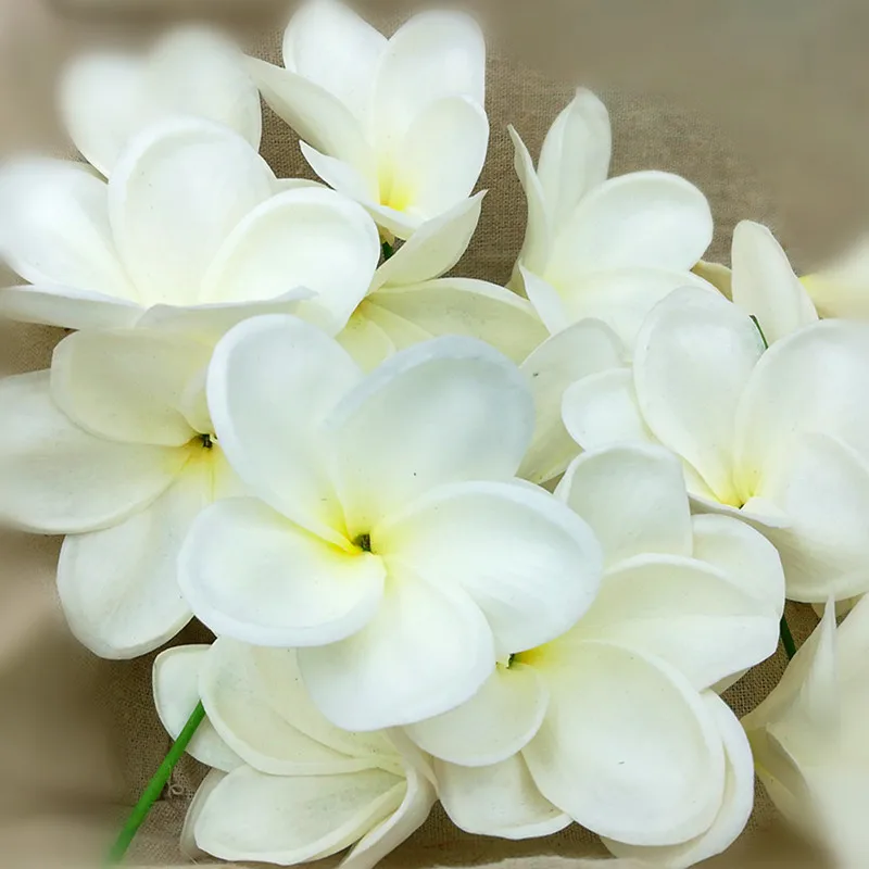 Натуральный настоящий на ощупь искусственный не Шелковый белый frangipani Plumerias искусственные головки цветов для украшение для свадебного торта букет 20