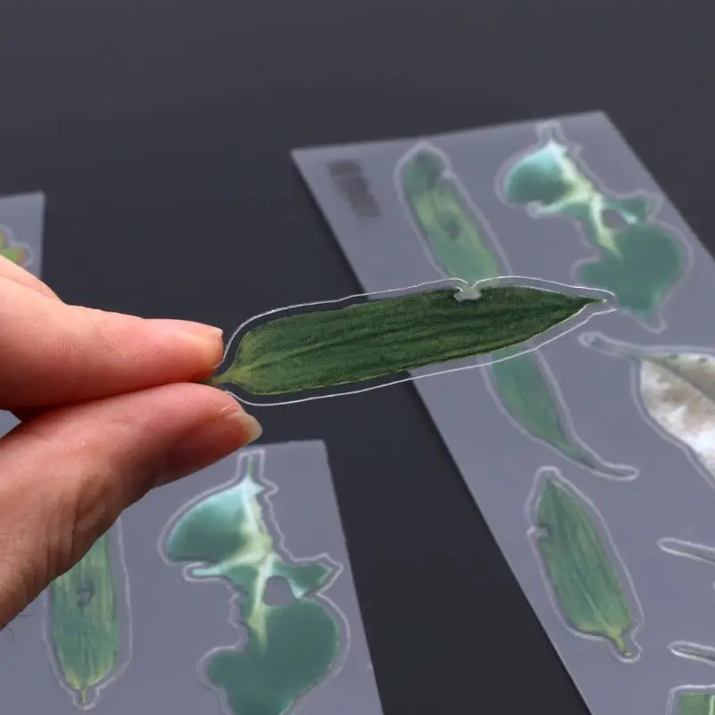 5 шт 3D листья чистая вода трава пленка наклейка для смолы картина «Золотая рыбка» ювелирные изделия