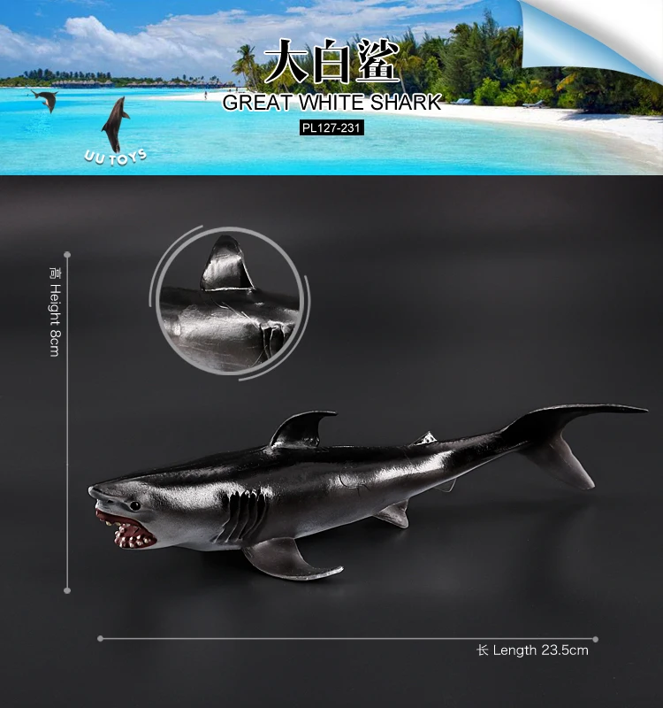 大白鲨-231