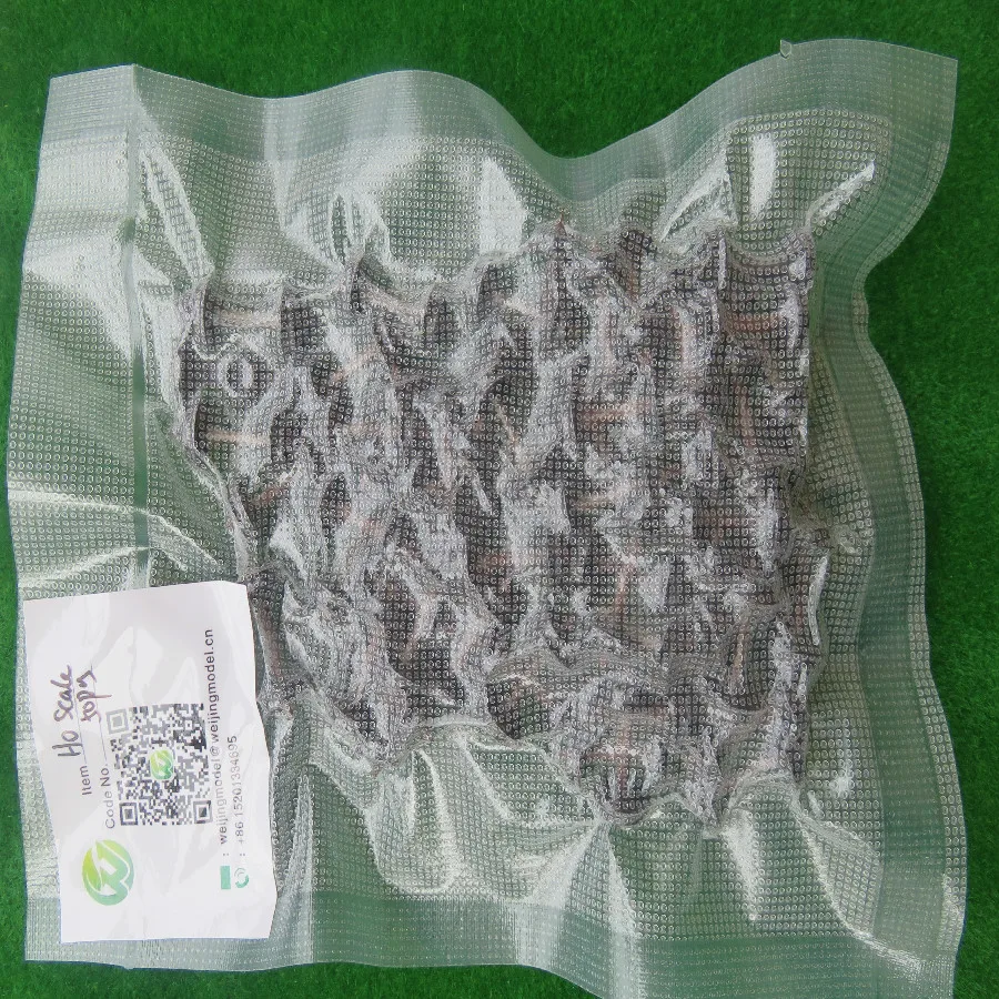 ho scale model  (9)