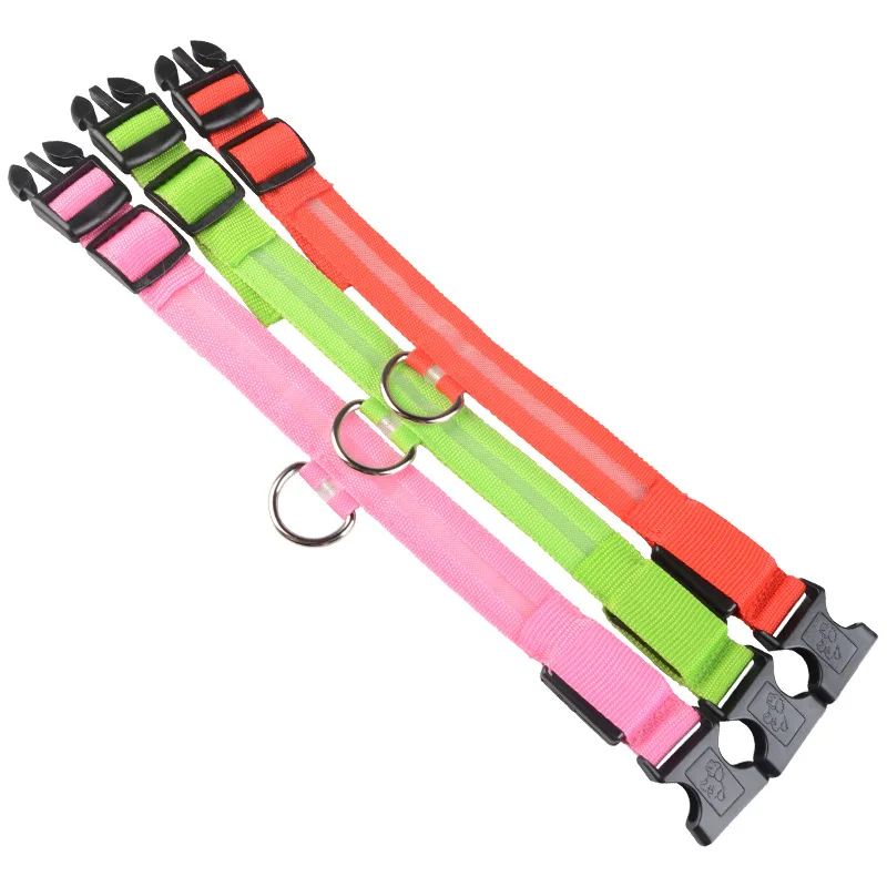 dog collar 1 (19)