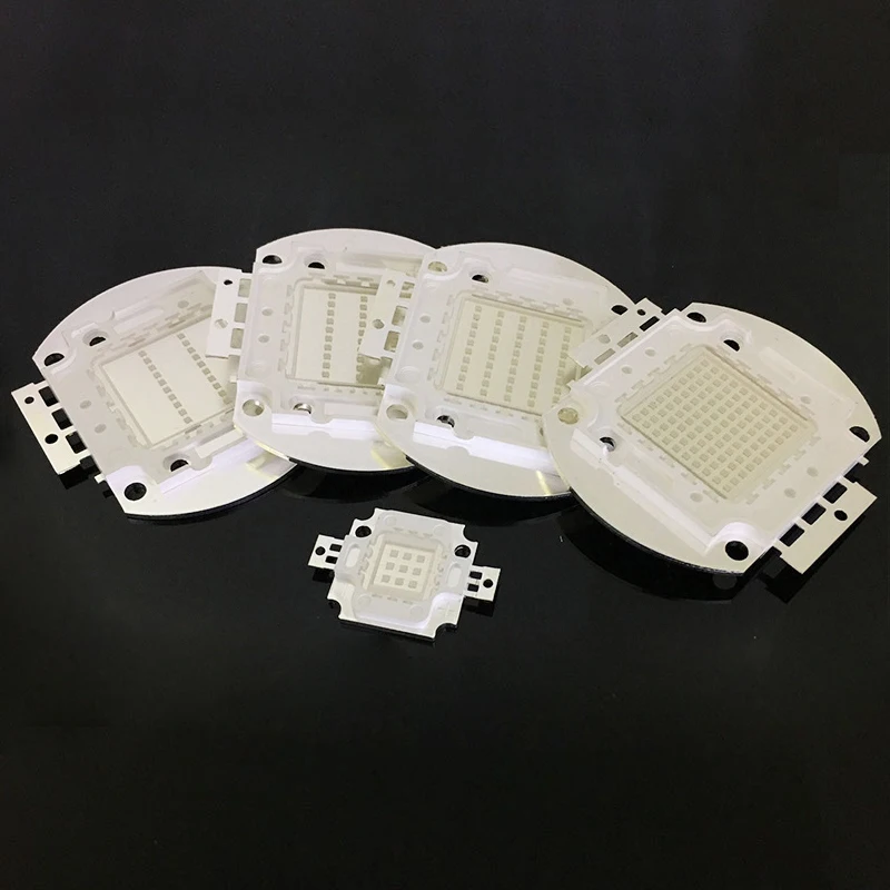 4458573533_576367572