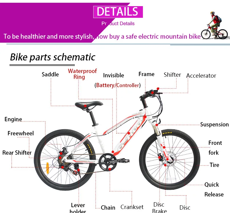 Best 24inch Electric Bike Mountain Bicycle,7 Speed Disc Brake,250W 36V Battery,Full Invisiable Design,High-tech Aluminum Frame 12