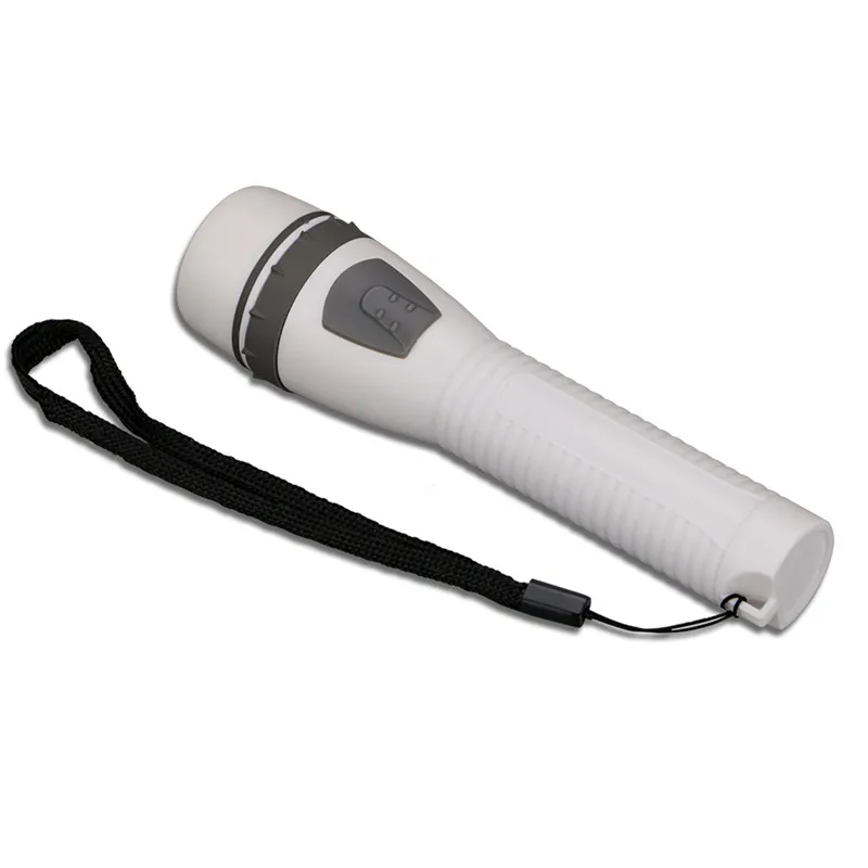 TORCH (3)