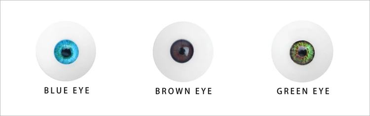 sex doll eye color