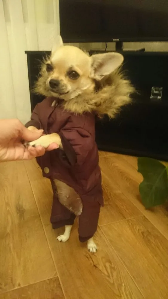 UT8edzmXppXXXagOFbX9